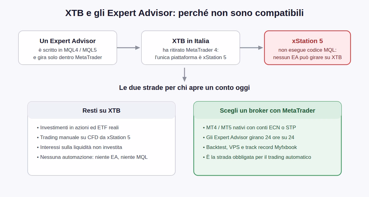 Xtb expert advisor compatibilita