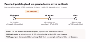 Tikr 13f ritardo